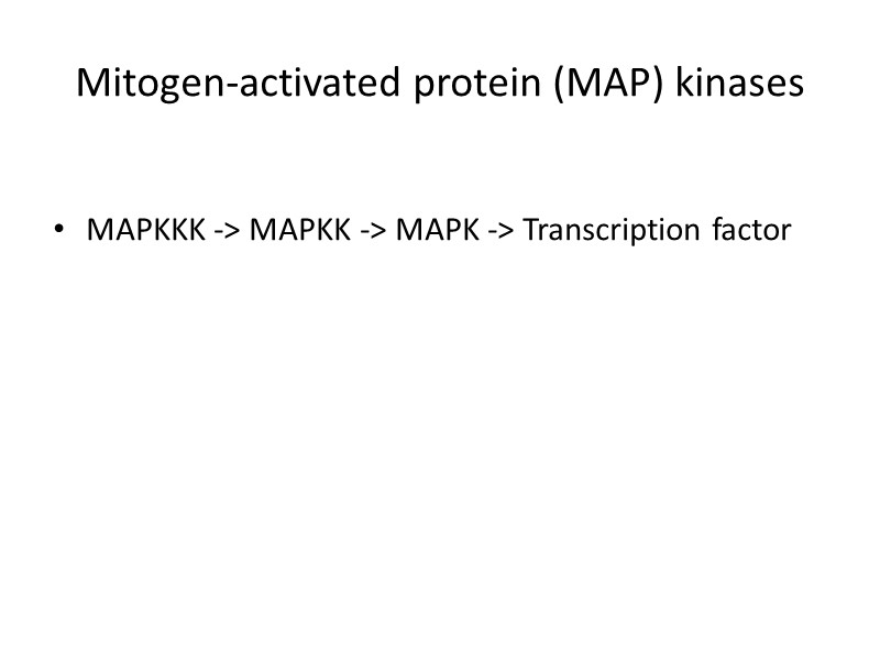 Mitogen-activated protein (MAP) kinases  MAPKKK -> MAPKK -> MAPK -> Transcription factor